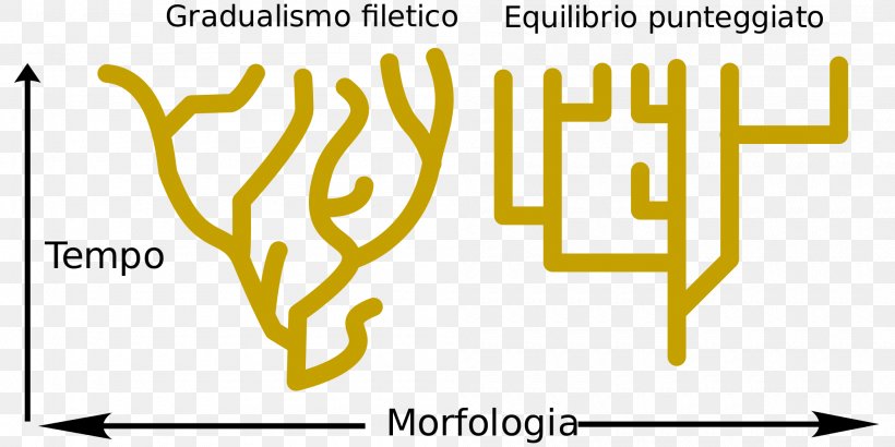 Punctuated Equilibrium Phyletic Gradualism Evolution Biology, PNG, 2000x1000px, Punctuated Equilibrium, Adaptive Radiation, Area, Biology, Brand Download Free