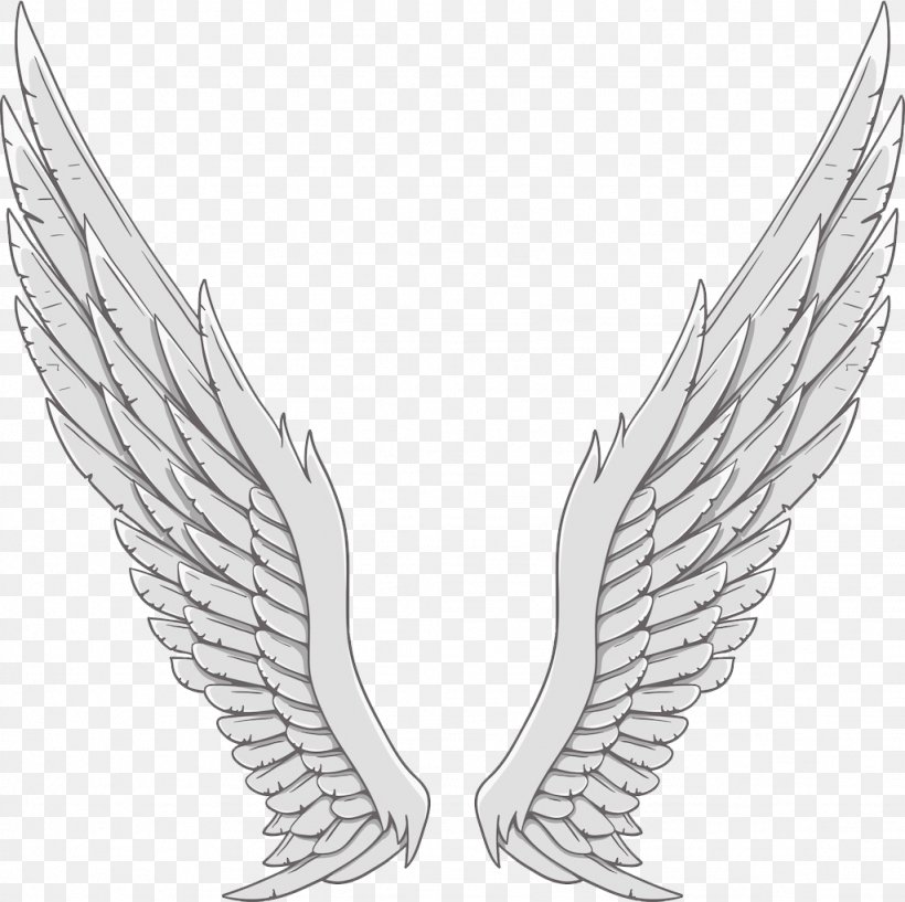 Angel Wing White, PNG, 1024x1021px, Wing, Angel, Angel Wing, Arm, Black And White Download Free