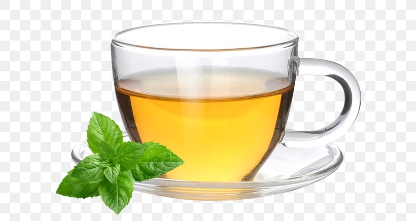 Earl Grey Tea Coffee Cup Green Tea Mate Cocido, PNG, 633x436px, Tea, Assam Tea, Barley Tea, Black Tea, Coffee Download Free