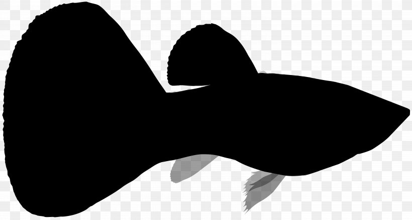 Mammal Clip Art Silhouette Line H&M, PNG, 6000x3204px, Mammal, Black M, Blackandwhite, Fish, Silhouette Download Free