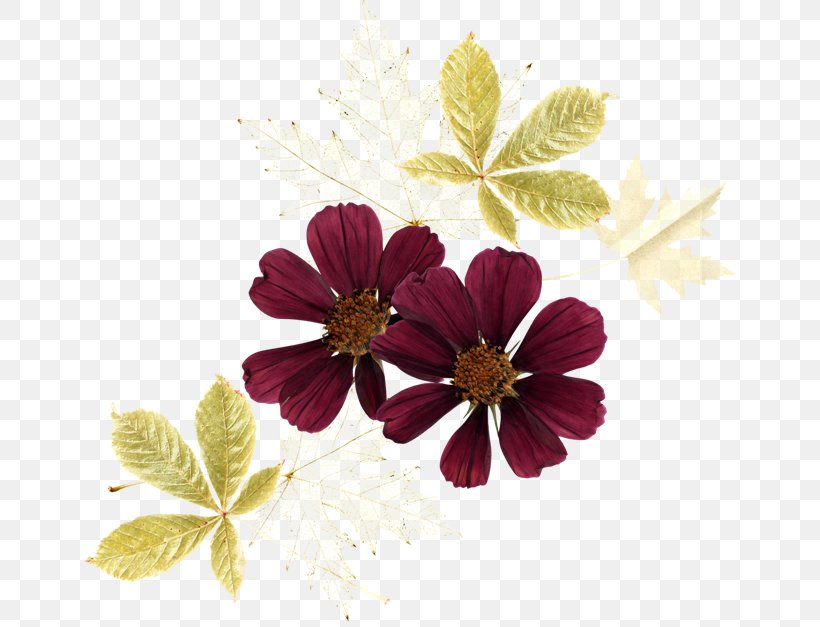 Digital Image Petal, PNG, 650x627px, Digital Image, Autumn, Flower, Flowering Plant, Petal Download Free