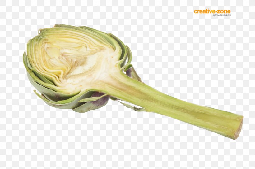 Vegetable Artichoke Cynara Red Onion, PNG, 1024x683px, Vegetable, Artichoke, Author, Bulb, Computer Hardware Download Free