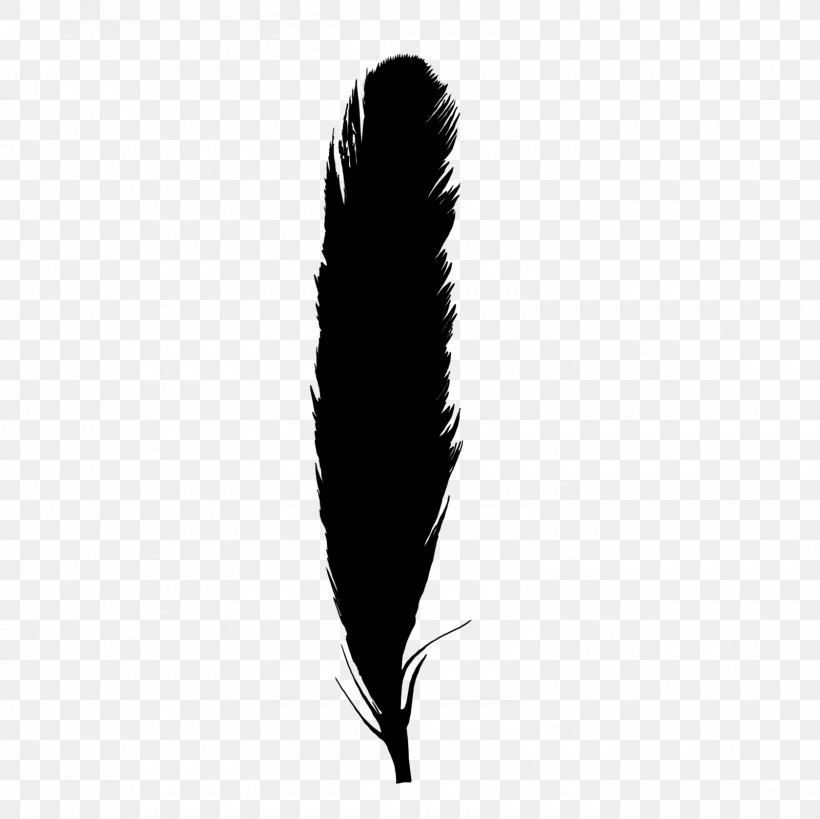 Black And White Monochrome Photography Feather, PNG, 1600x1600px, Black And White, Black, Black M, Feather, Monochrome Download Free