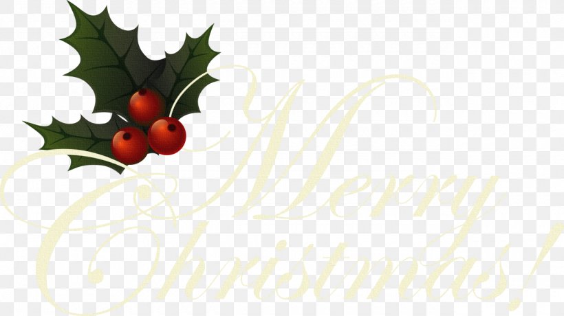 Desktop Wallpaper Grape Greeting & Note Cards, PNG, 1280x719px, Grape, Aquifoliaceae, Aquifoliales, Christmas, Christmas Ornament Download Free