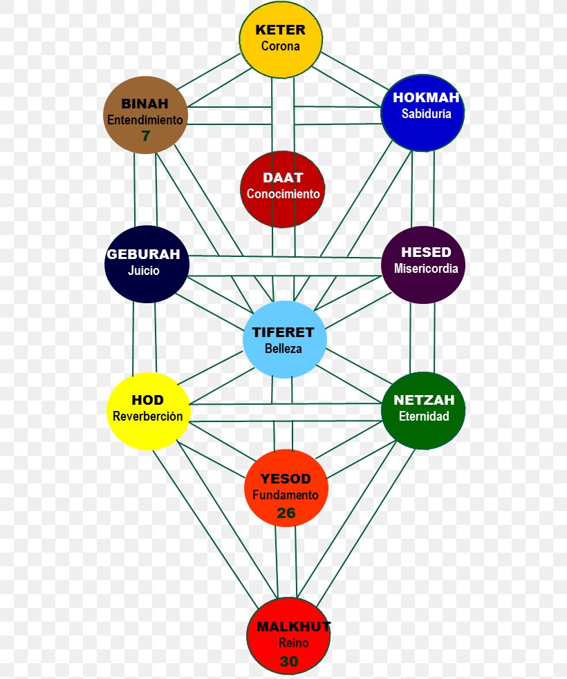 Diagram Tree Of Life Human Behavior Technology Point, PNG, 535x983px, Diagram, Area, Behavior, Homo Sapiens, Human Behavior Download Free