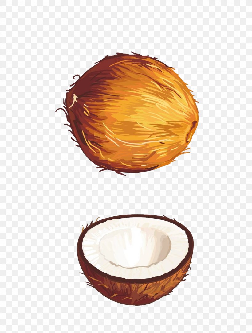 Fruit Coconut Euclidean Vector Illustration, PNG, 1042x1379px, Fruit, Auglis, Cdr, Coconut, Food Download Free