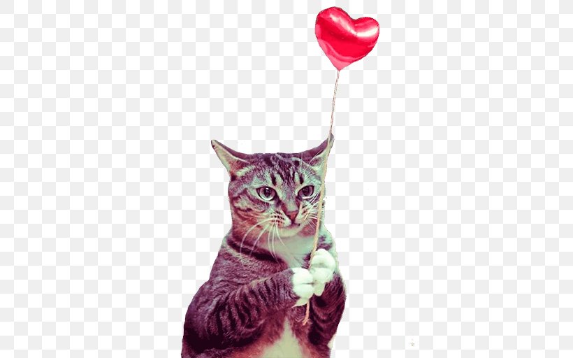 Kitten Munchkin Cat Valentine's Day Pet Birthday, PNG, 512x512px, Kitten, Animal, Animal Rescue Group, Be My Valentine, Birthday Download Free