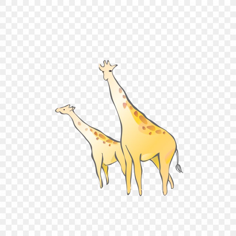 Northern Giraffe Cartoon Drawing, PNG, 1181x1181px, Northern Giraffe, Animation, Cartoon, Comics, Deer Download Free