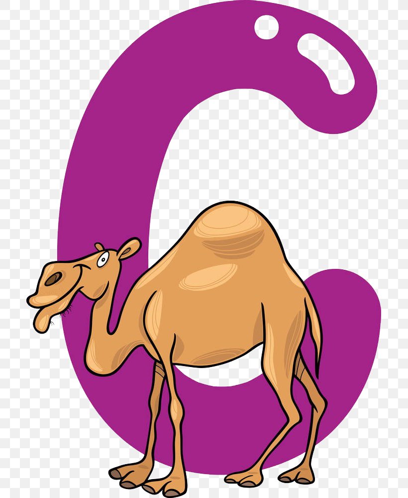 Stock Photography Royalty-free Cartoon Illustration, PNG, 713x1000px, Stock Photography, Alamy, Arabian Camel, Beak, Camel Download Free