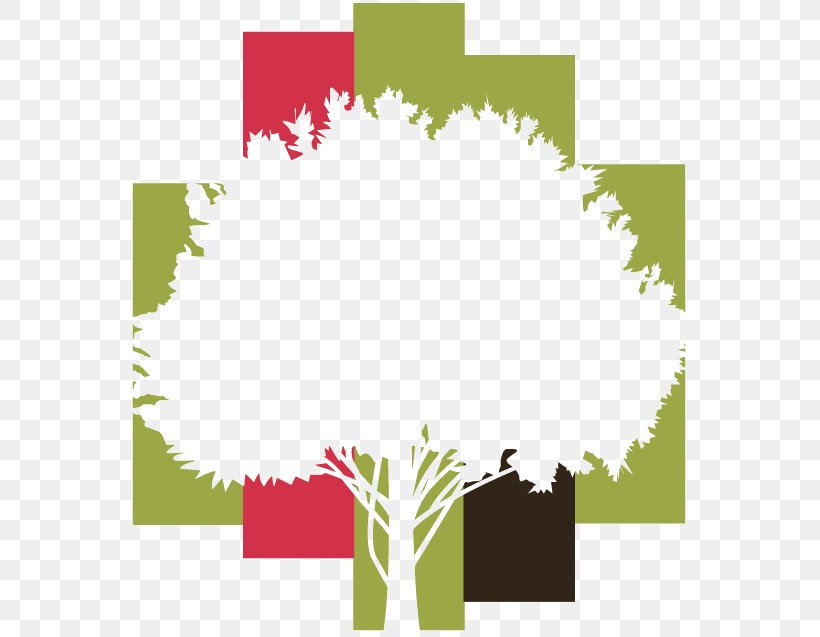 Tropical Forest Sustainable Forest Management Logo Tree, PNG, 576x637px, Forest, Area, Border, Botany, Brand Download Free