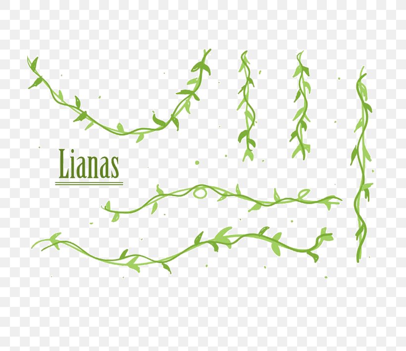 Vector Graphics Liana Clip Art Illustration Design, PNG, 709x709px, Liana, Area, Branch, Calameae, Drawing Download Free