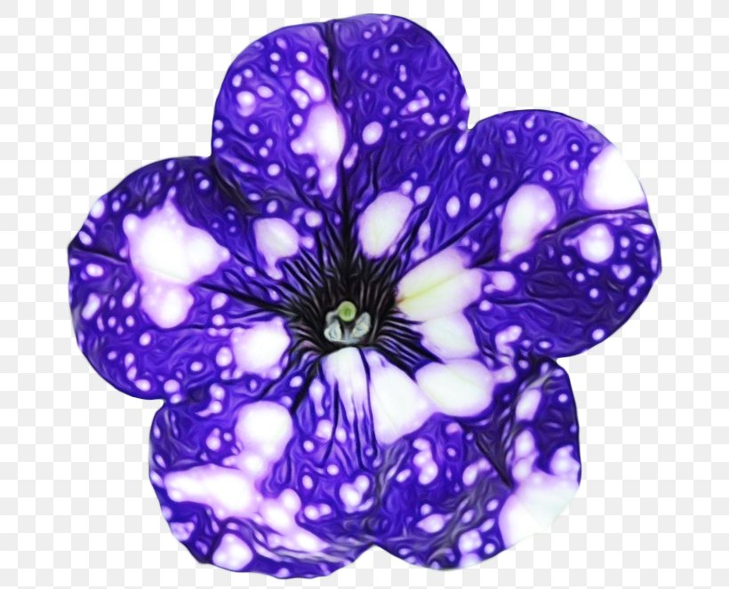 Violet Purple Petal Flower Plant, PNG, 694x663px, Watercolor, Flower, Lilac, Morning Glory, Paint Download Free