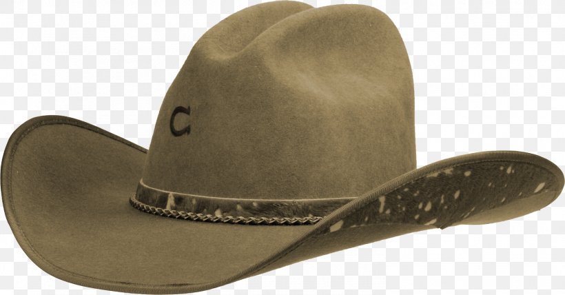 Cowboy Hat Cowboy Hat 23 June Blog, PNG, 1495x781px, Watercolor, Cartoon, Flower, Frame, Heart Download Free
