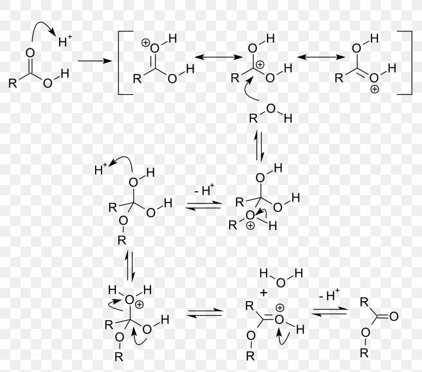 Fischer–Speier Esterification Acid Catalysis Chemical Reaction, PNG, 2000x1768px, Watercolor, Cartoon, Flower, Frame, Heart Download Free