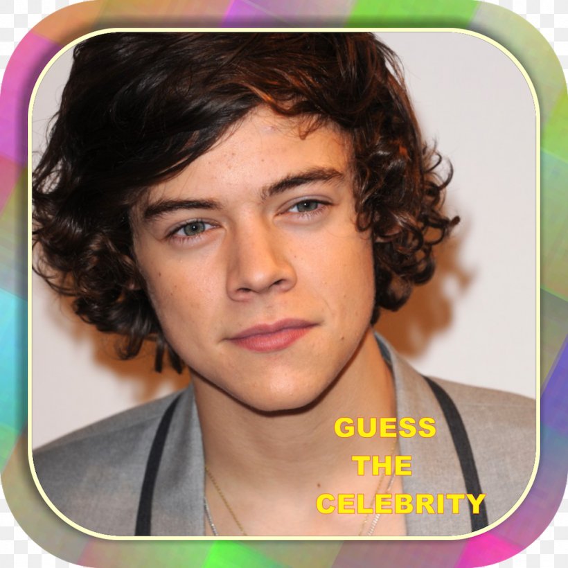 Harry Styles One Direction Celebrity United Kingdom Image, PNG, 1024x1024px, Watercolor, Cartoon, Flower, Frame, Heart Download Free