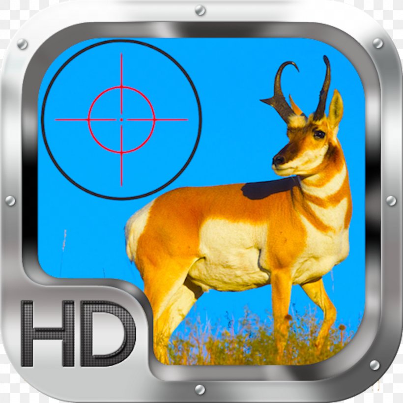 Pronghorn Antelope Deer Best Of The West Outfitters Hunting, PNG, 1024x1024px, Pronghorn, Animal, Antelope, Antler, Deer Download Free