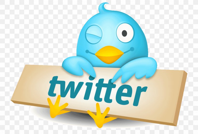 Social Media Twitter Logo Social Network Animation, PNG, 1235x840px, Social Media, Animation, Beak, Bird, Brand Download Free