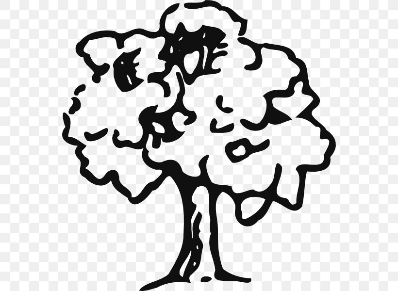 Tree Oak Drawing Clip Art, PNG, 564x600px, Tree, Area, Artwork, Black, Black And White Download Free