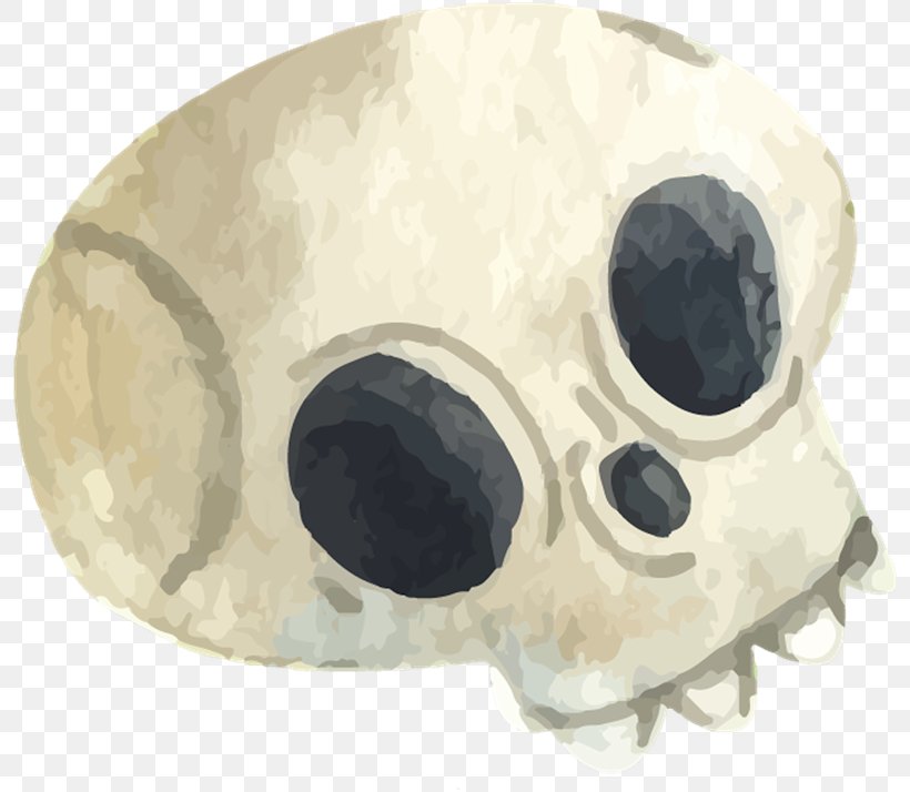 Watercolor Painting Vector Graphics Skull Cartoon, PNG, 800x714px, Watercolor Painting, Art, Beige, Bone, Cartoon Download Free