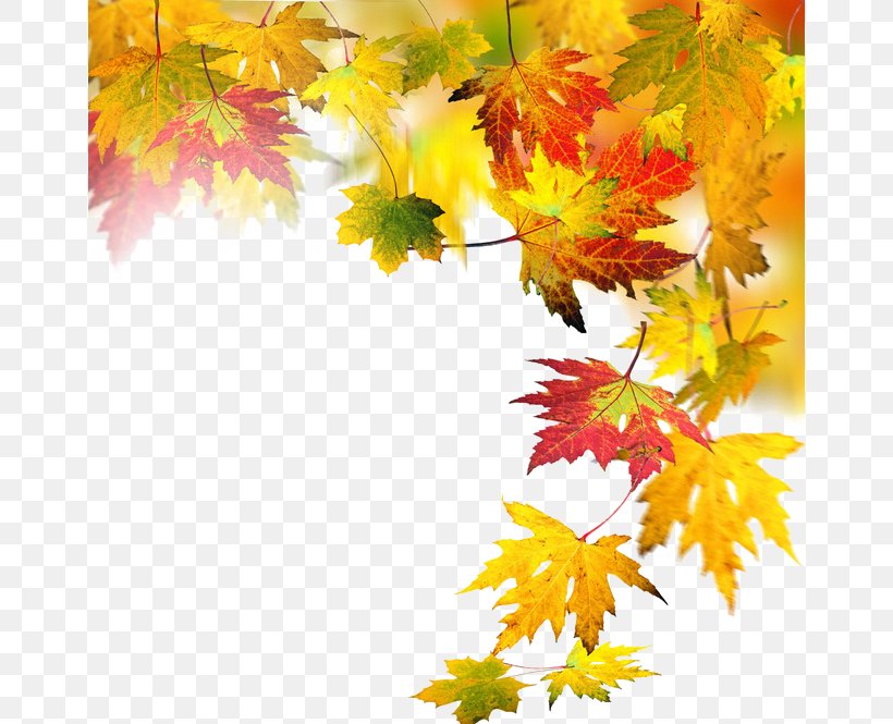 Autumn Leaf Computer File, PNG, 658x665px, Autumn, Autumn Leaf Color, Branch, Chemical Element, Designer Download Free