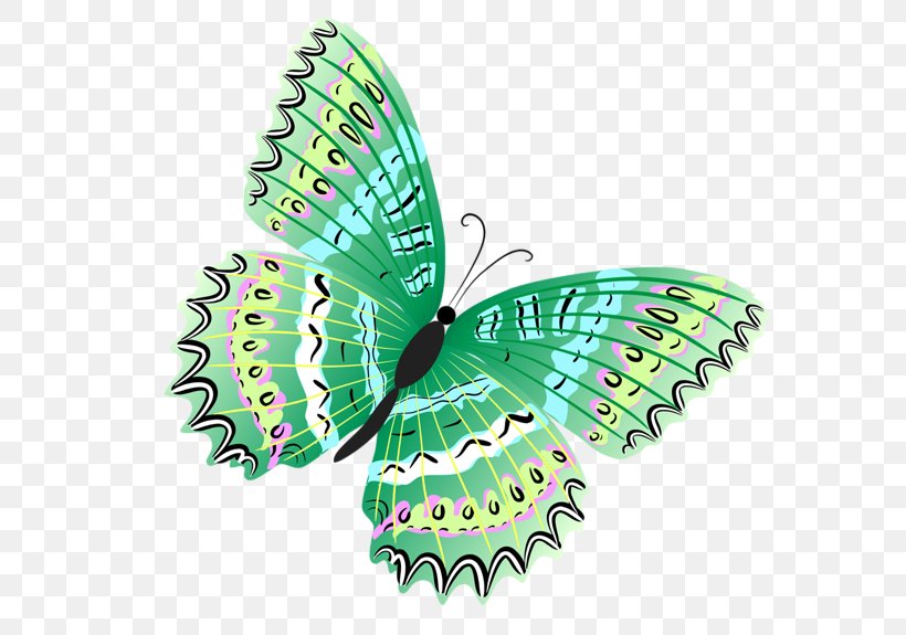 Butterfly Green Clip Art, PNG, 600x575px, Butterfly, Arthropod, Blue, Brush Footed Butterfly, Color Download Free