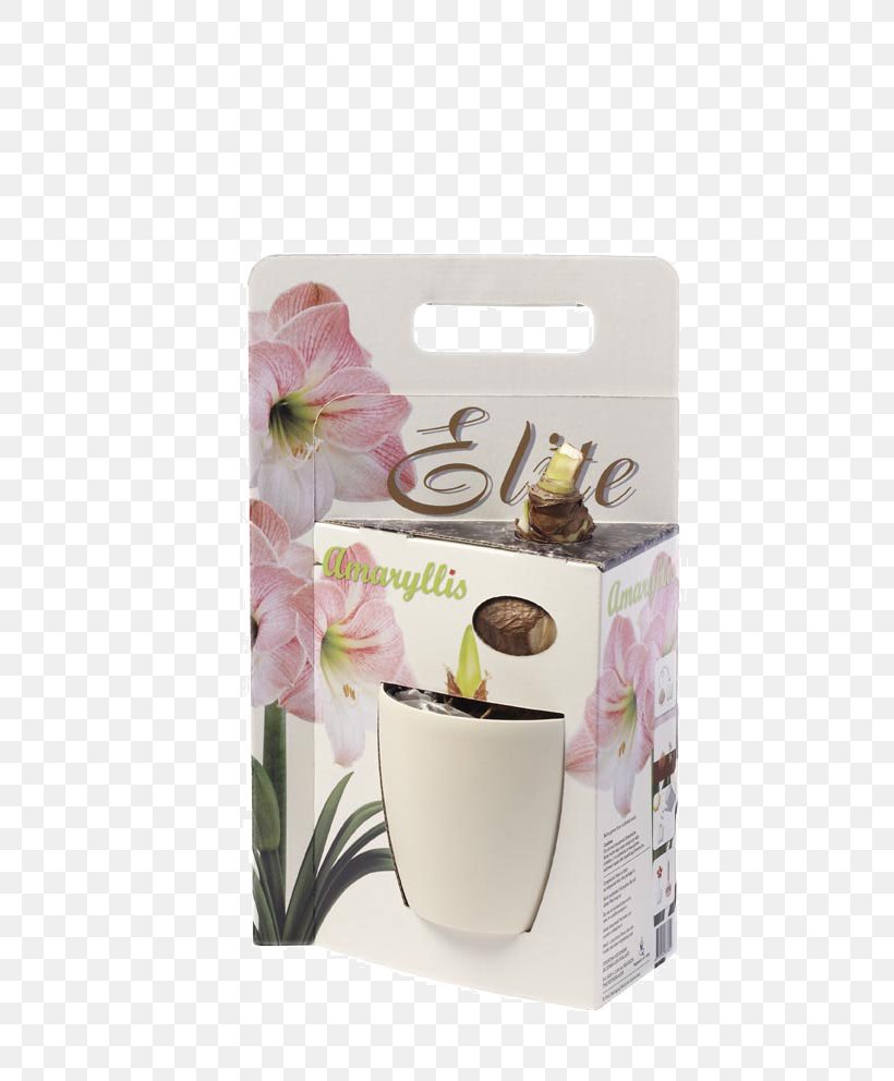 Coffee Cup Cafe Flowerpot, PNG, 661x992px, Coffee Cup, Cafe, Cup, Flower, Flowerpot Download Free