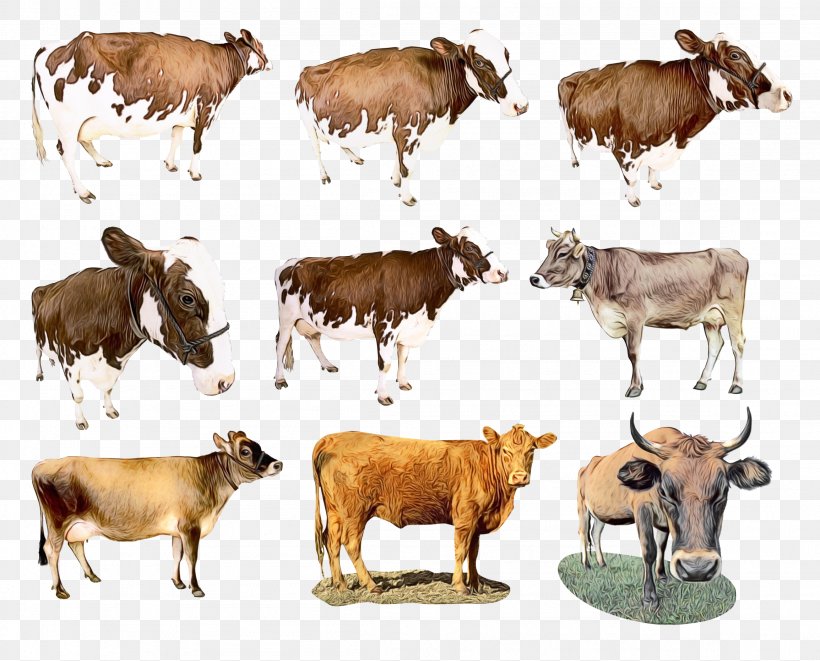 Cow Background, PNG, 2309x1864px, Watercolor, Animal Figure, Beef Cattle, Bovine, Brahman Cattle Download Free