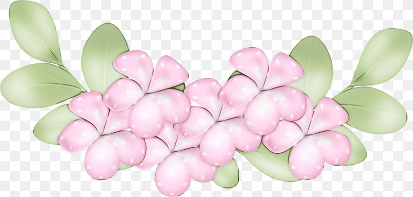 Cut Flowers Petal Flower Lilac / M Lilac M, PNG, 1817x869px, Watercolor, Biology, Cut Flowers, Flower, Lilac M Download Free