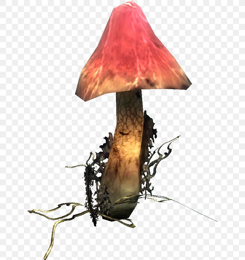 Fungus Risen Pileus Mushroom, PNG, 636x870px, Fungus, Berry, Fandom, Gothic, Mushroom Download Free