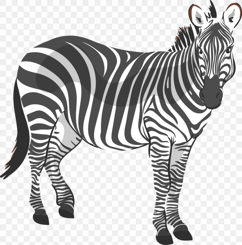 Zebra CorelDRAW Stock Illustration Computer File, PNG, 928x940px, Zebra, Adobe Freehand, Big Cats, Black And White, Coreldraw Download Free