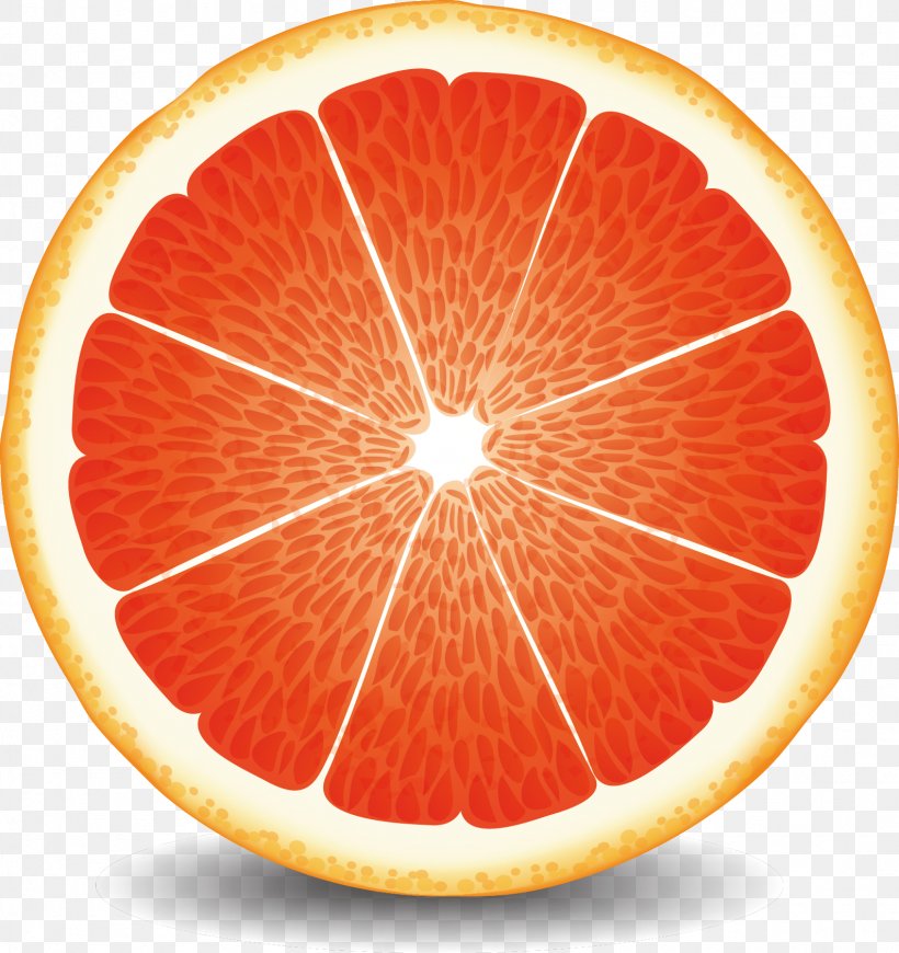 Grapefruit Juice Blood Orange Pomelo, PNG, 1587x1685px, Grapefruit, Blood Orange, Cartoon, Citric Acid, Citrus Download Free