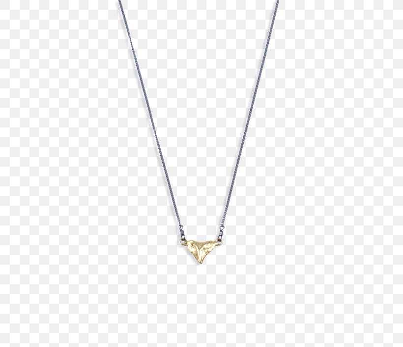 Locket Necklace Silver Jewellery Chain, PNG, 570x708px, Locket, Body Jewellery, Body Jewelry, Chain, Fashion Accessory Download Free