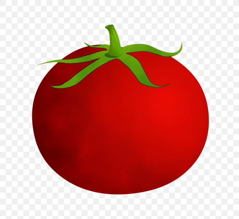 Tomato, PNG, 750x750px, Watercolor, Food, Fruit, Nightshade Family, Paint Download Free