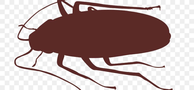 Cockroach Insect Vector Graphics Clip Art, PNG, 720x380px, Cockroach, Arthropod, Beetle, Belostomatidae, Brown Cockroach Download Free