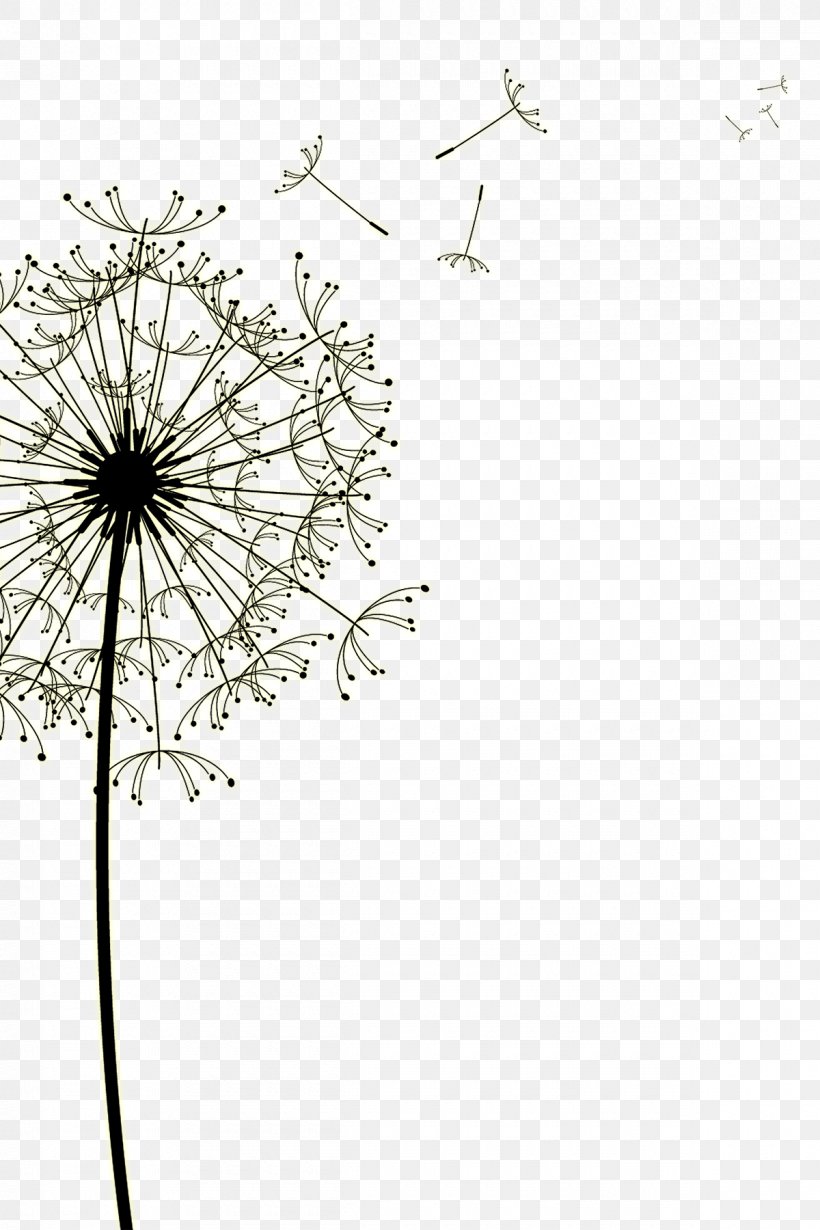 Dandelion Drawing Euclidean Vector, PNG, 1200x1800px, Dandelion, Area, Art, Black And White, Branch Download Free