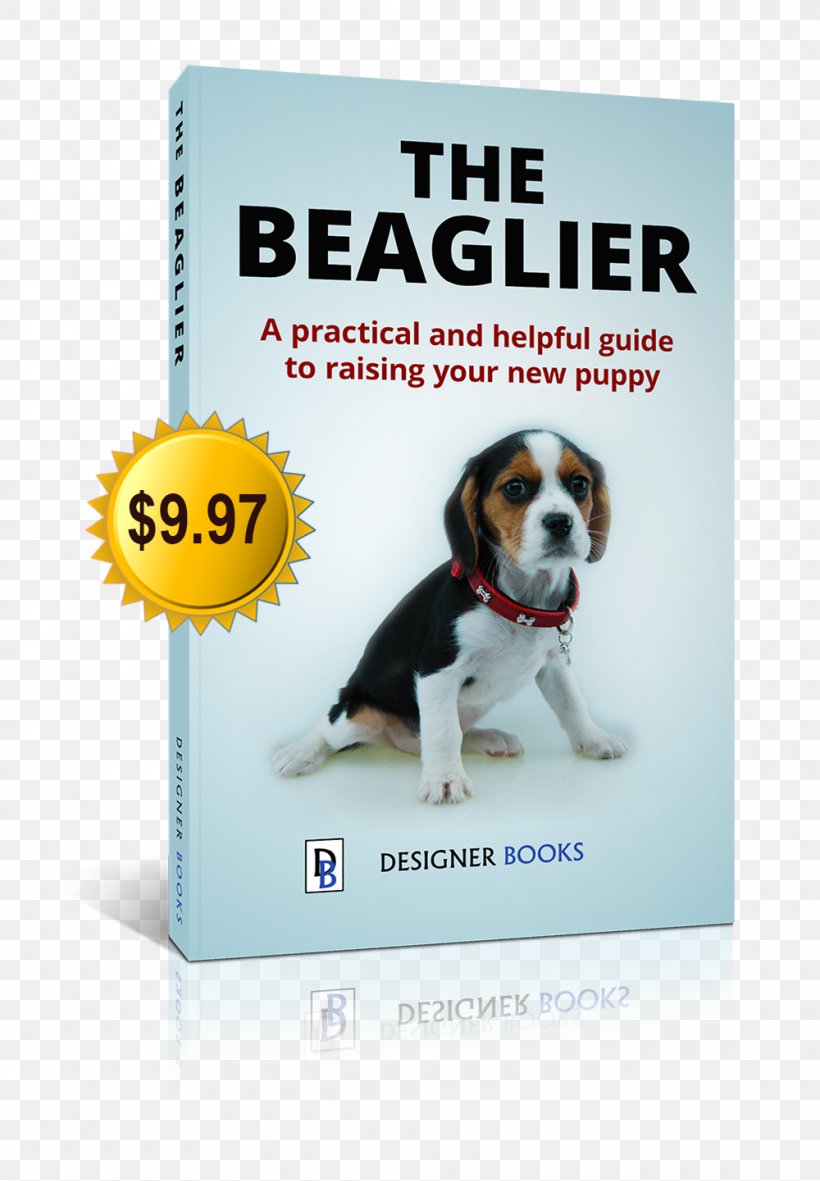 Puppy Beagle Beaglier Cavalier King Charles Spaniel Puggle, PNG, 1000x1441px, Puppy, Beagle, Beaglier, Bichon Frise, Bolognese Dog Download Free