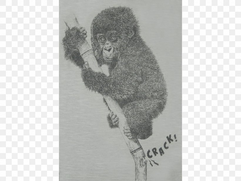 Gorilla White, PNG, 960x720px, Gorilla, Art, Artwork, Black And White, Drawing Download Free