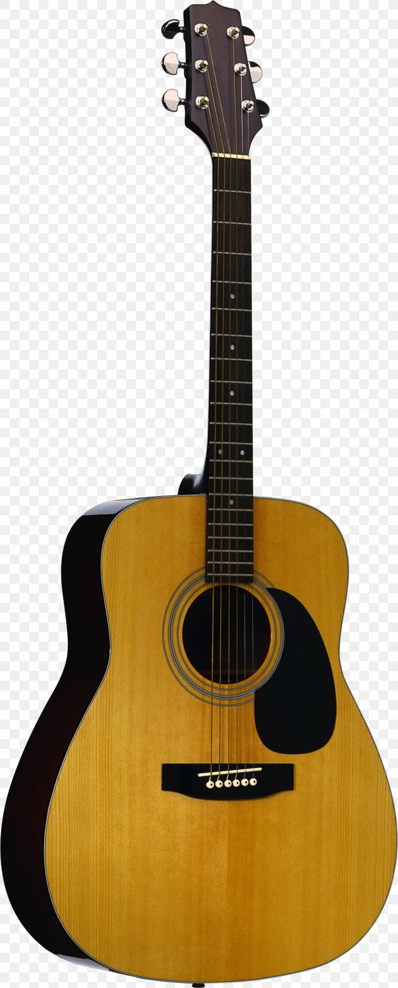 Twelve-string Guitar C. F. Martin & Company Acoustic-electric Guitar Acoustic Guitar, PNG, 1188x2944px, Watercolor, Cartoon, Flower, Frame, Heart Download Free