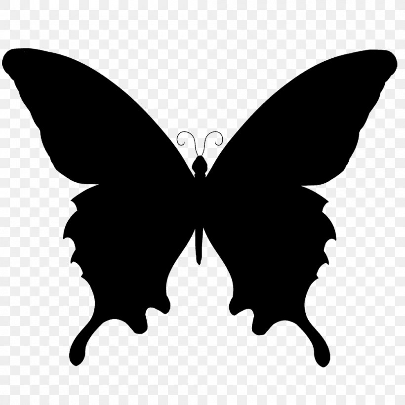 Butterfly Silhouette, PNG, 1000x1000px, Butterfly, Black, Black And White, Brush Footed Butterfly, Drawing Download Free