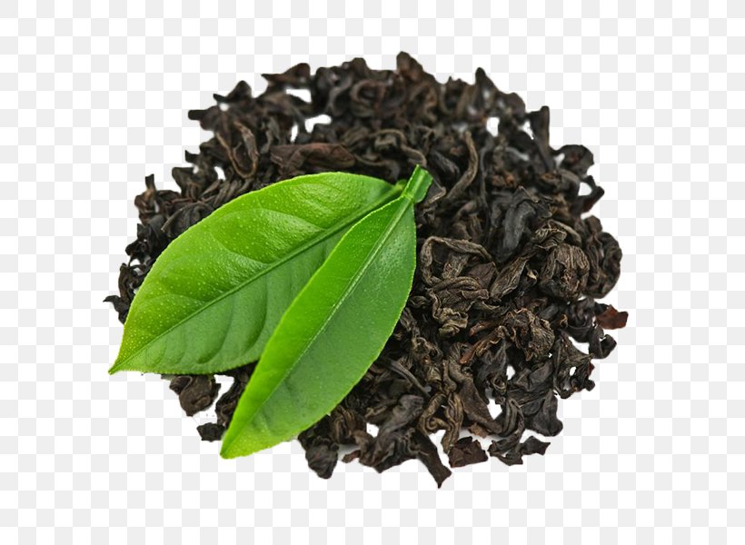 Green Tea Masala Chai Iranian Cuisine Herb, PNG, 600x600px, Tea, Assam Tea, Bai Mudan, Bancha, Biluochun Download Free