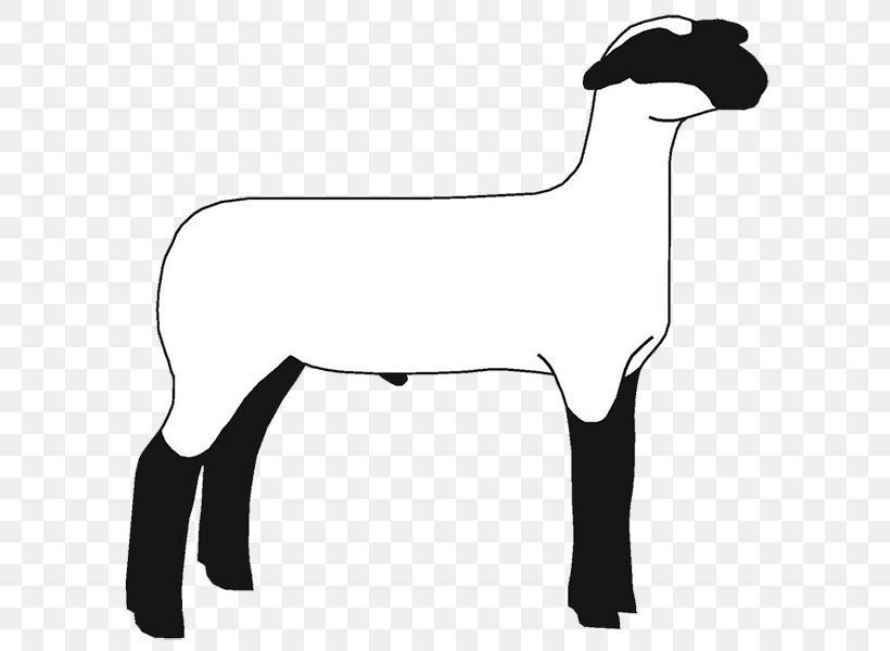 Suffolk Sheep Hampshire Sheep Clip Art Boer Goat Openclipart, PNG, 620x600px, Suffolk Sheep, Agriculture, Black, Black And White, Black Sheep Download Free