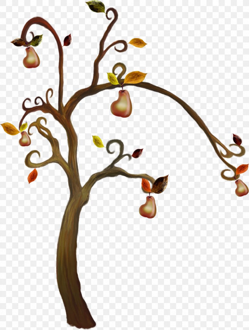 Tree Material Clip Art, PNG, 963x1280px, Tree, Autumn, Body Jewelry, Branch, Drawing Download Free