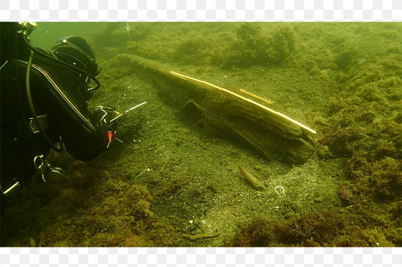 Ronneby Baltic Sea Blekinge Museum Diver, PNG, 900x600px, Baltic Sea, Diver, Figurehead, Grass, Plant Download Free