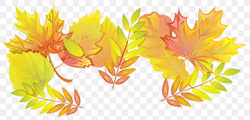 Watercolor Flower Background, PNG, 3000x1442px, Watercolor, Flower, Leaf, Orange, Paint Download Free