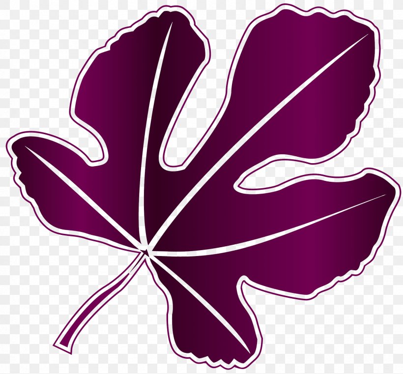 Leaf Purple Petal Magenta Violet, PNG, 1772x1646px, Leaf, Flower, Flowering Plant, Halftone, Magenta Download Free