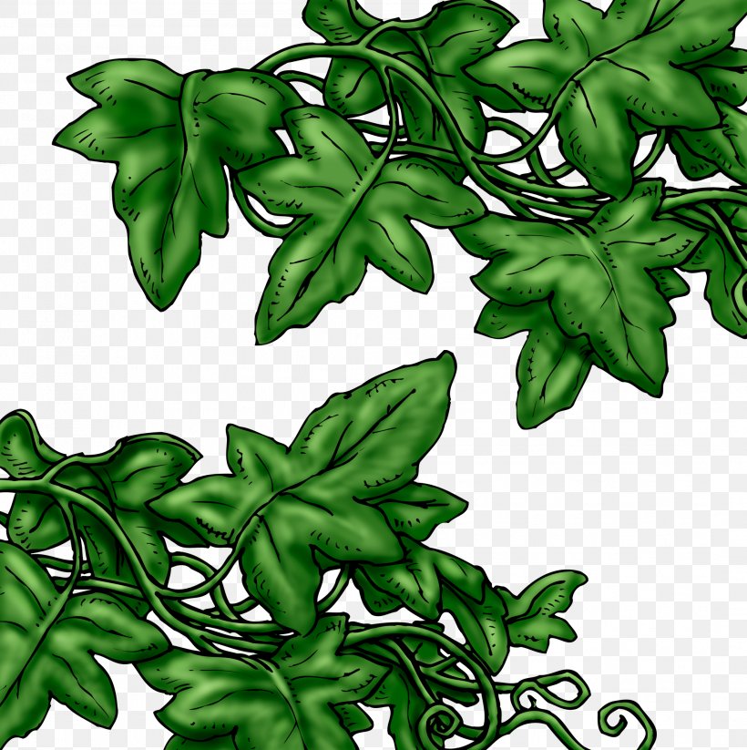 Leaf Branch Ivy Image, PNG, 2137x2145px, 2018, Leaf, Branch, Digital Image, Flowering Plant Download Free