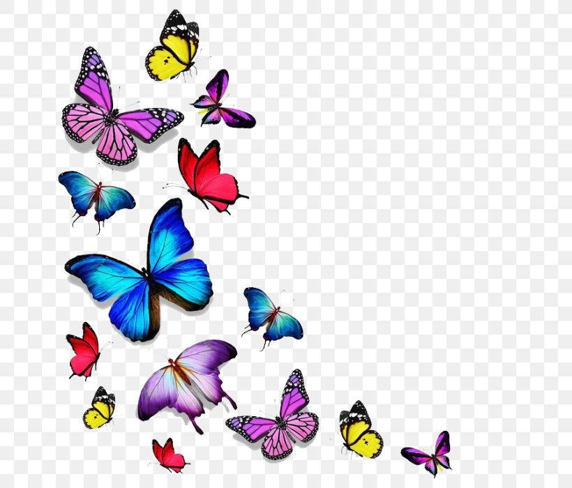 Stock Photography Butterfly Drawing, PNG, 700x700px, Stock Photography, Artwork, Brush Footed Butterfly, Butterfly, Color Download Free