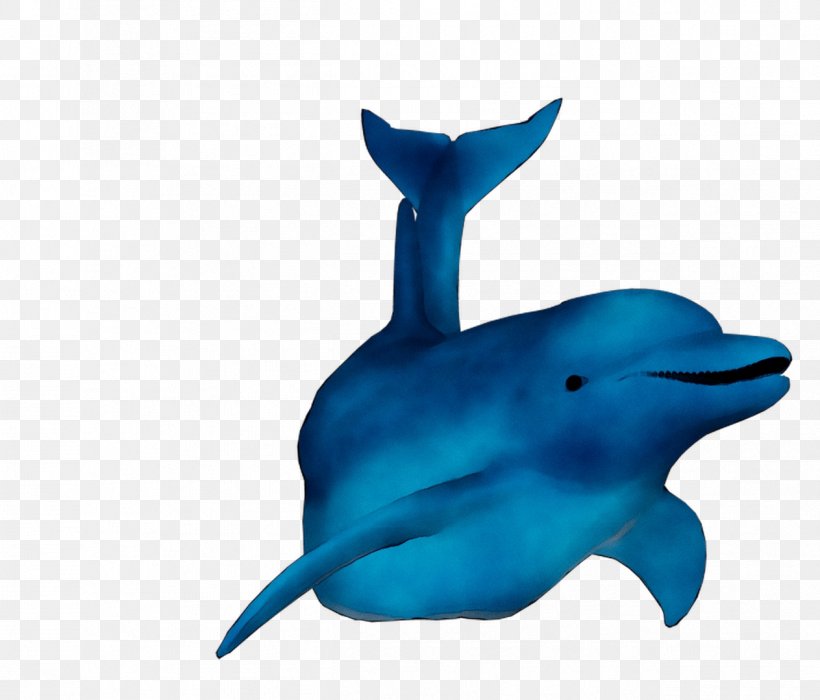 Common Bottlenose Dolphin Short-beaked Common Dolphin Tucuxi Rough-toothed Dolphin Wholphin, PNG, 1263x1079px, Common Bottlenose Dolphin, Animal Figure, Beak, Biology, Blue Download Free