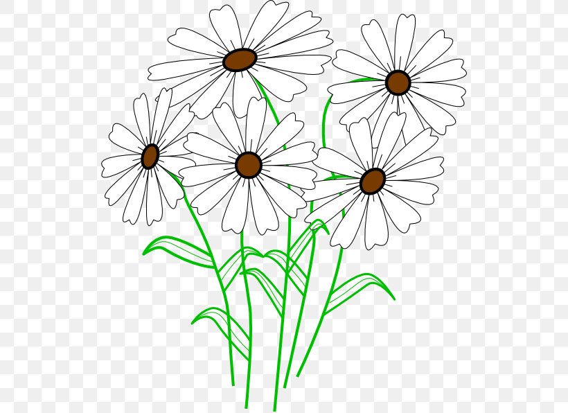 Common Daisy Clip Art, PNG, 528x596px, Common Daisy, Artwork, Black And White, Cut Flowers, Daisy Download Free