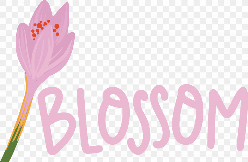 Logo Font Flower Petal Pink M, PNG, 4965x3252px, Logo, Flower, Meter, Petal, Pink M Download Free